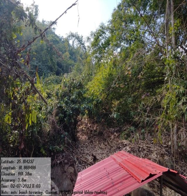 C:\Users\Lavinia Pde\Pictures\Camera Roll\IMG-20220713-WA0003.jpg